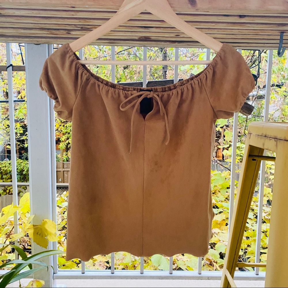 BCBG sparkly velvet like brown / beige top